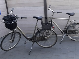 Vakantieappartement Pewsum Omgeving 26