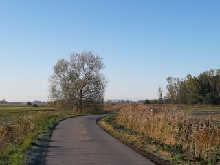 Appartement de vacances Pewsum Environnement 28