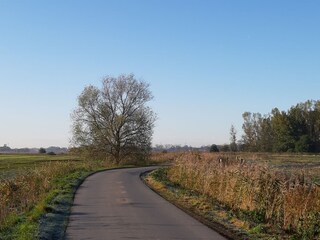 Appartement de vacances Pewsum Environnement 31