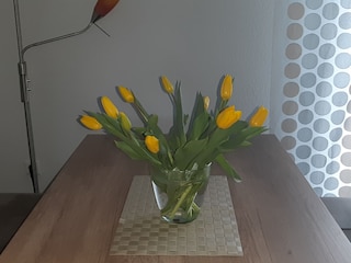 Appartement de vacances Pewsum Équipement 16