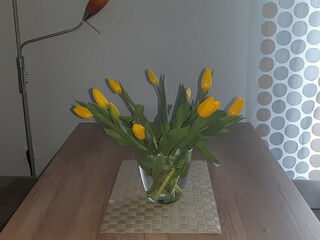 Vakantieappartement Pewsum Kenmerken 16