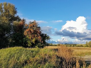 Es muss nicht immer Wasser sein