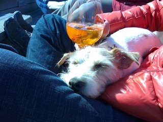 Ferienhaus Kühlungsborn-West Außenaufnahme 11