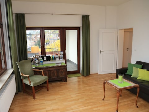 Ferienwohnung Rheinblick