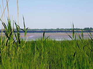 Casa per le vacanze Damshagen Ambiente 37