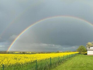 Casa de vacaciones Damshagen Entorno 31