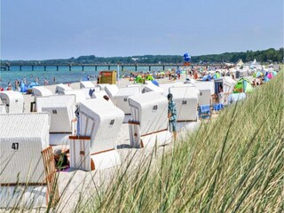 Vakantiehuis Damshagen Omgeving 38