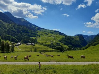 Appartamento per vacanze Au in Vorarlberg Ambiente 22