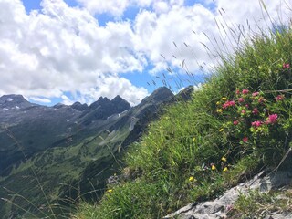 Appartamento per vacanze Au in Vorarlberg Ambiente 23