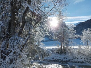 Appartamento per vacanze Au in Vorarlberg Ambiente 39