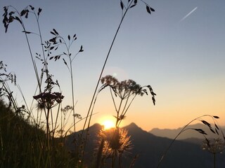 Sonnenuntergang auf der Höferspitze