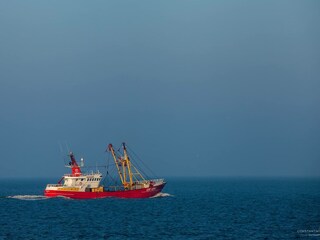 Meer