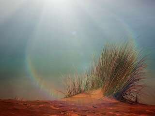 Dune