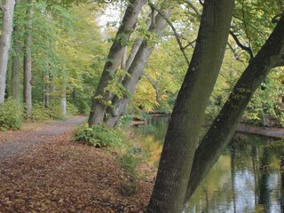 Appartamento per vacanze Bergen (Holland) Ambiente 20