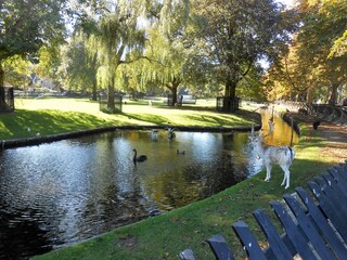 Appartamento per vacanze Bergen (Holland) Ambiente 22