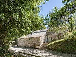 Ferienhaus Huckworthy - Tavistock - image1