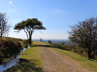 Spaziergang entlang der alten Bahnstrecke nur 5 Minuten