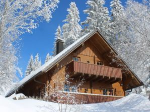 Ferienhaus John.B lodge - Feldberg im Schwarzwald - image1