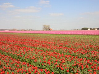 Casa per le vacanze Herkingen Ambiente 33