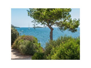 Villa Alcudia Omgeving 46