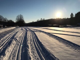Casa per le vacanze Holzminden Ambiente 38