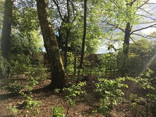 Holiday house Weserbergland Outdoor Recording 15