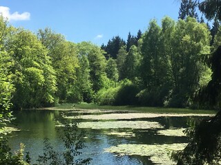 Casa per le vacanze Holzminden Ambiente 36