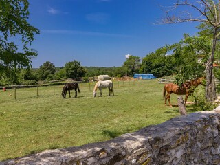 Casa de vacaciones Manjadvorci Entorno 36
