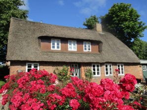 Ferienhaus Alte Schmiede - Nieblum - image1