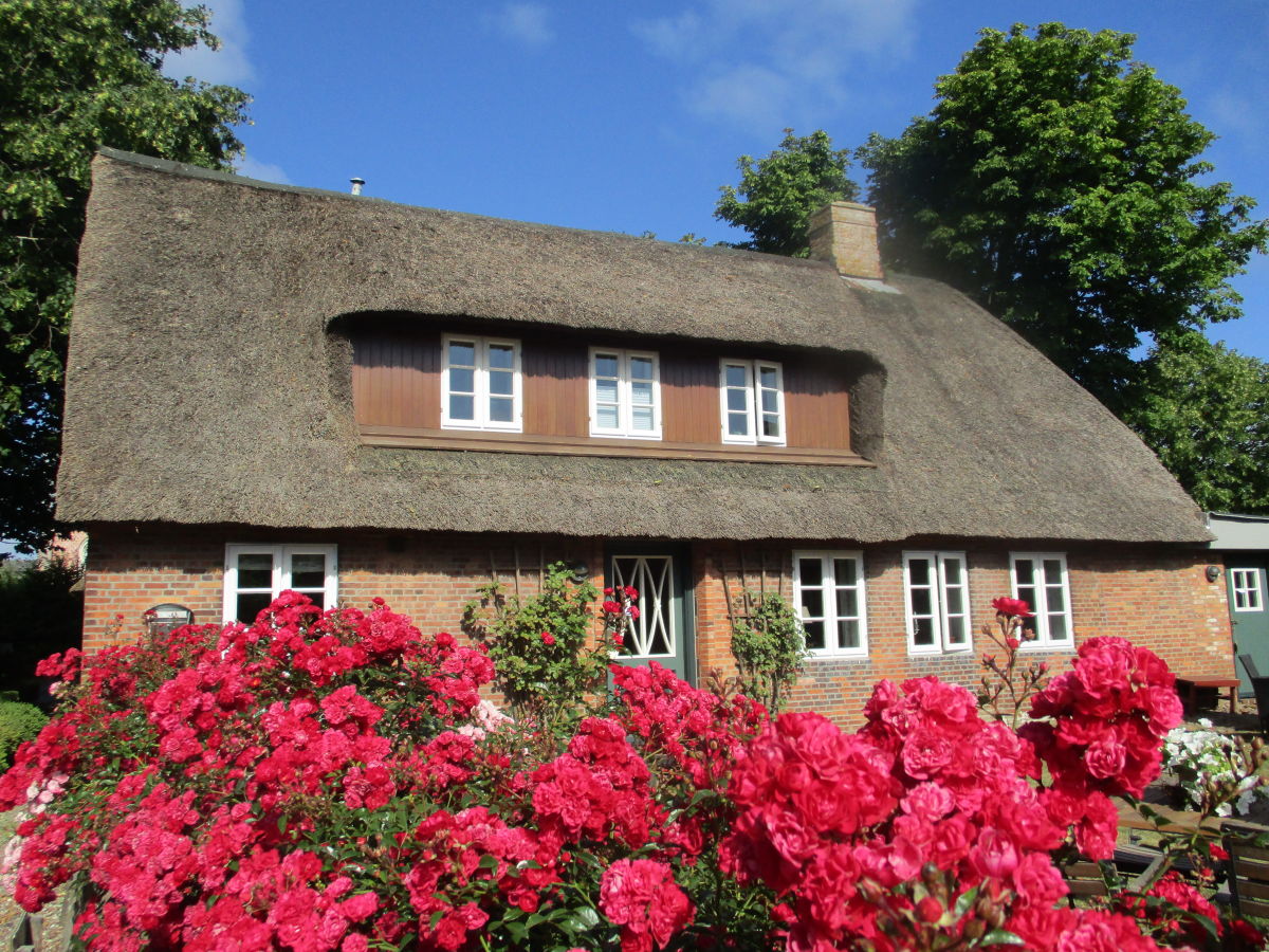 Ferienhaus Nieblum Außenaufnahme 1