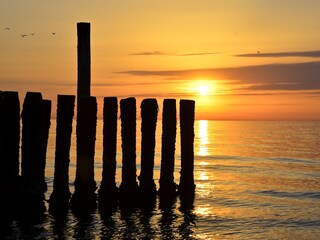 Appartamento per vacanze Domburg Ambiente 19