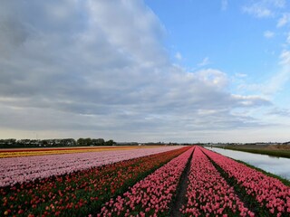 Vakantiehuis Noordwijk Omgeving 25