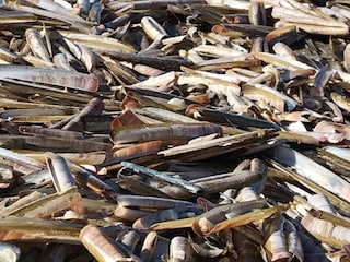 Casa per le vacanze Noordwijk Ambiente 26