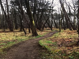 Casa per le vacanze Noordwijk Ambiente 28
