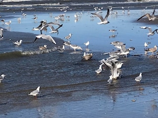 Casa per le vacanze Noordwijk Ambiente 23