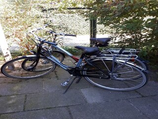 Holiday house Noordwijk  38