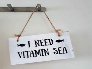 Ferienhaus Noordwijk  36