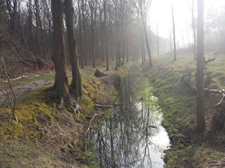 Casa per le vacanze Noordwijk Ambiente 30