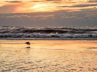 Casa de vacaciones Noordwijk Entorno 23