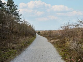 Vakantiehuis Noordwijk Omgeving 30