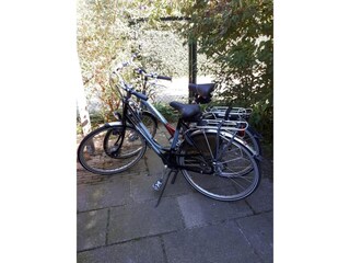 Maison de vacances Noordwijk  36