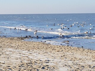 Strand & Meer