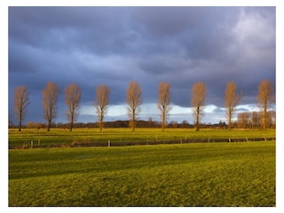 Der Niederrhein bei Haldern