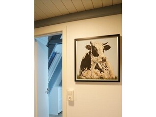 Vakantiehuis Damp Kenmerken 19