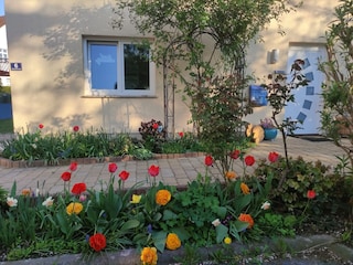 Ferienwohnung Markkleeberg Außenaufnahme 2