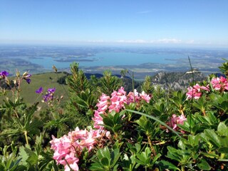 Blick von der Kampenwand auf den Chiemsee