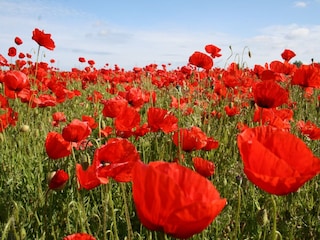 Appartement Kröpelin  35