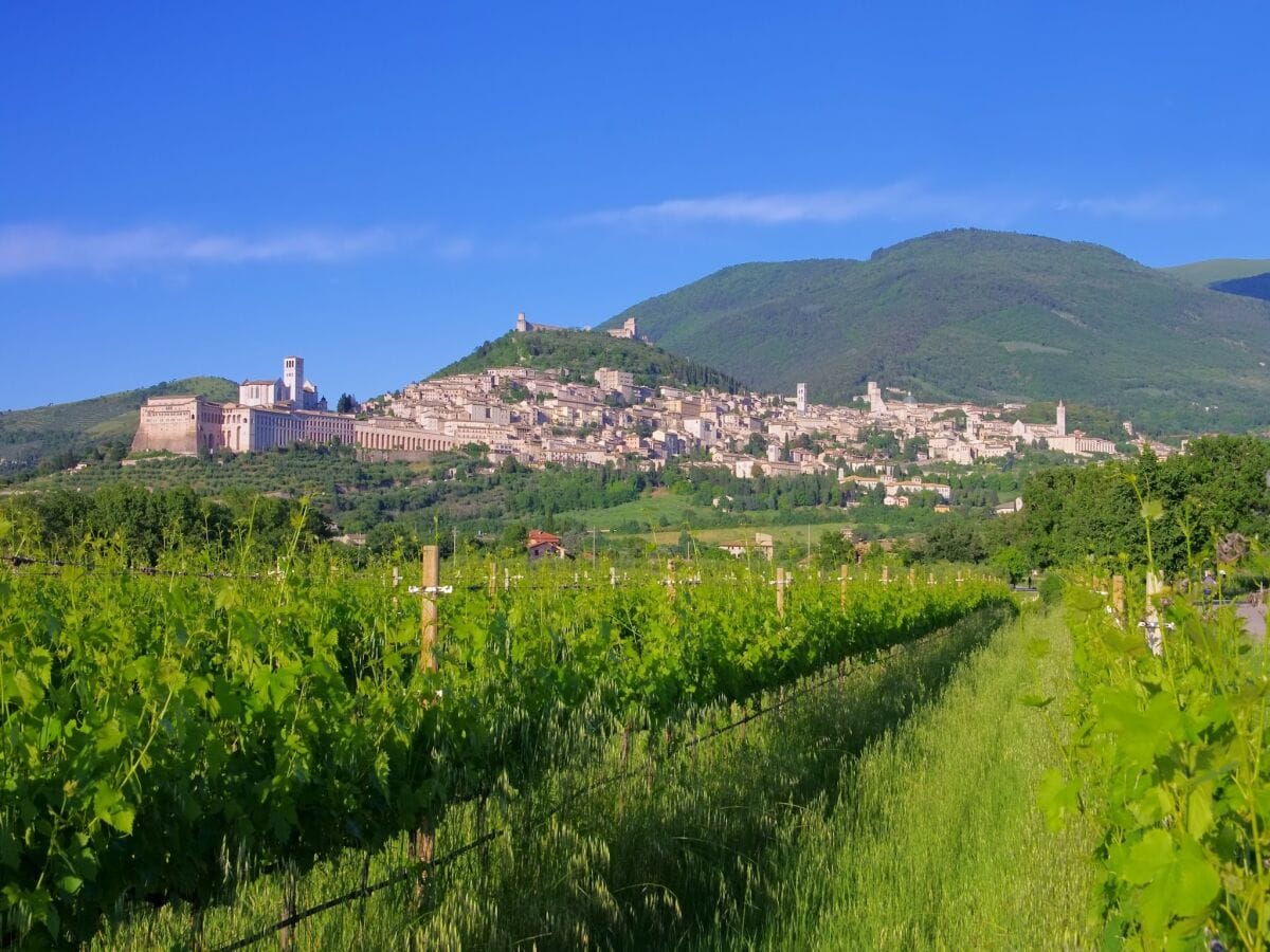 Villa Santa Maria degli Angeli (Assisi) Umgebung 30