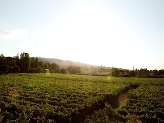 Villa Santa Maria degli Angeli (Assisi) Ambiente 31