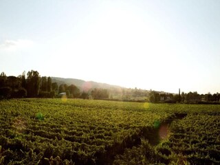 Villa Santa Maria degli Angeli (Assisi) Environnement 31